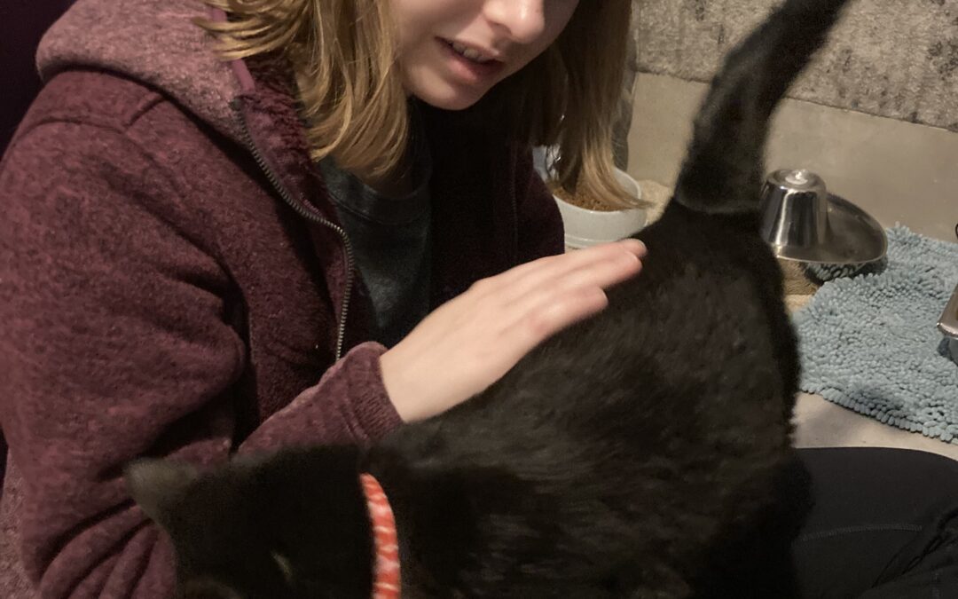 Caelyn – Cups & Claws Cat Cafe